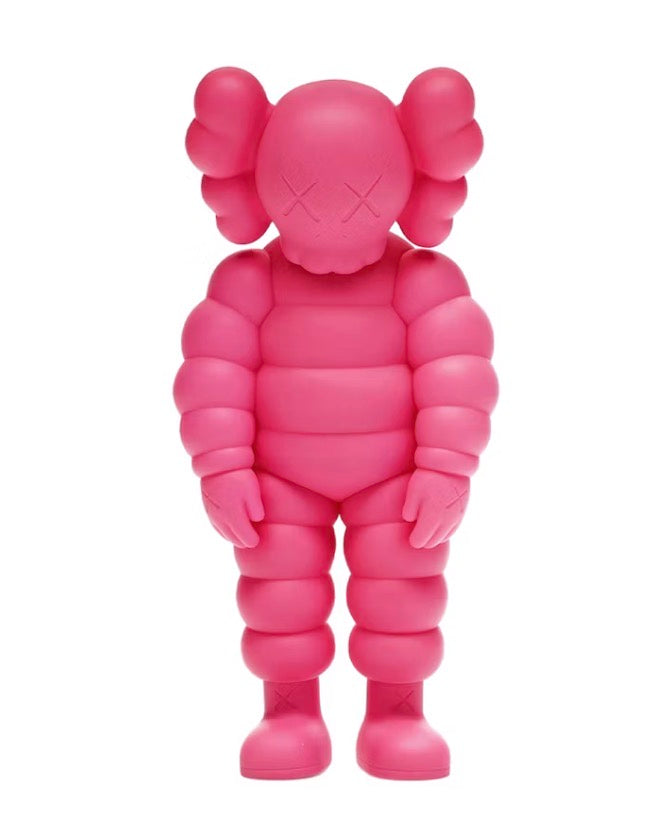 KAWS “What Party”