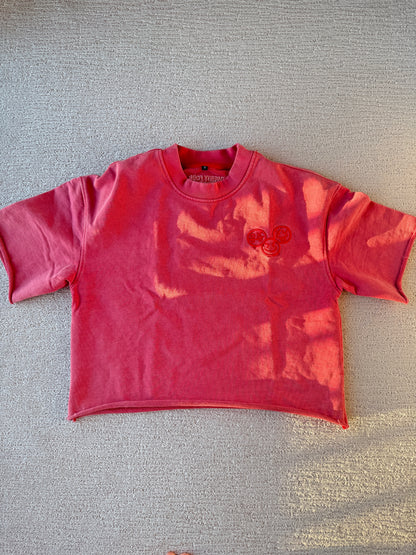 Twenty Four Embroidered Crop Tee