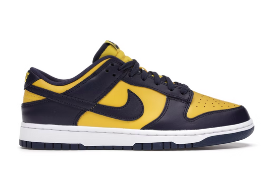 Nike Dunk Low Michigan (136)