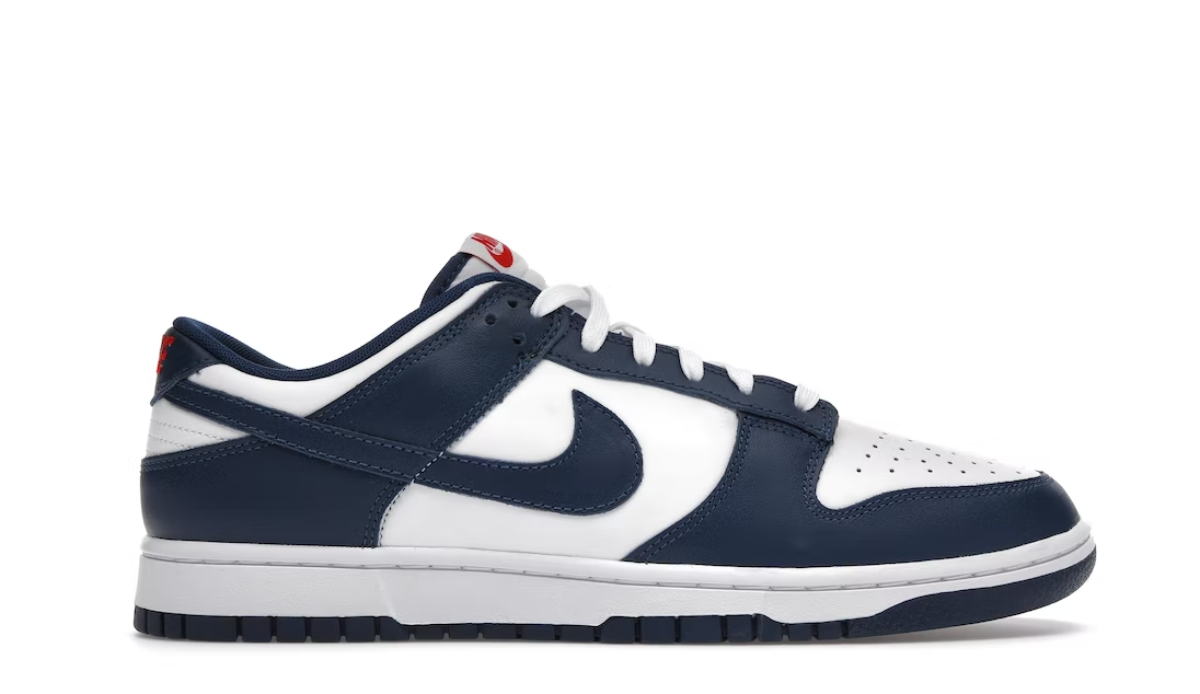 Nike Dunk Low Valerian Blue (218)